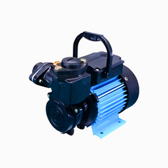 Raw Water Pump
